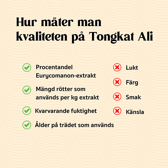 Så bestämmer du kvaliteten på Tongkat Ali